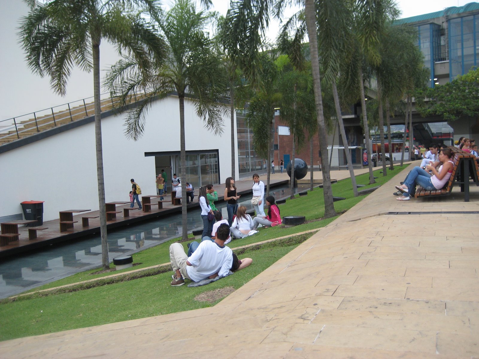 IMG 3114 1 image 